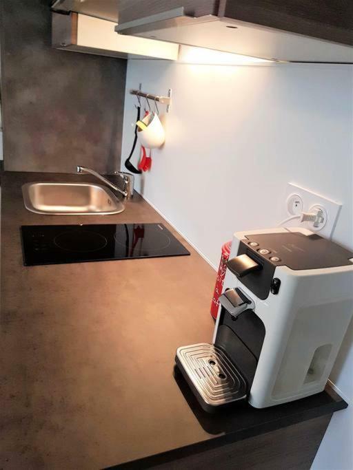 Tres Bel Appartement Centre Vitre Eksteriør billede